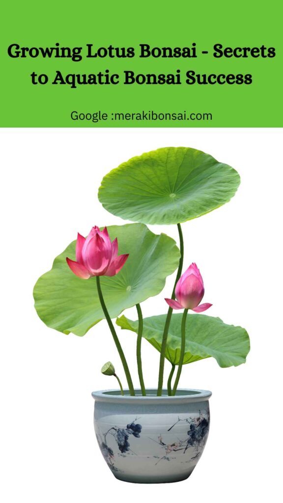 Growing Lotus Bonsai - Secrets to Aquatic Bonsai Success