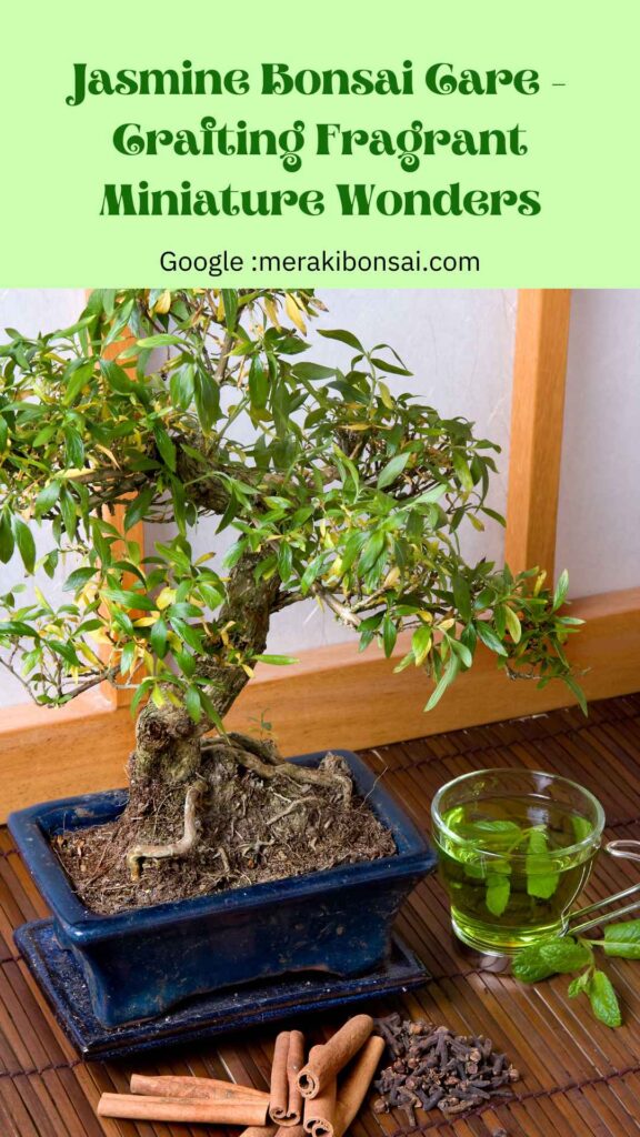 Jasmine Bonsai Care Crafting Fragrant Miniature Wonders