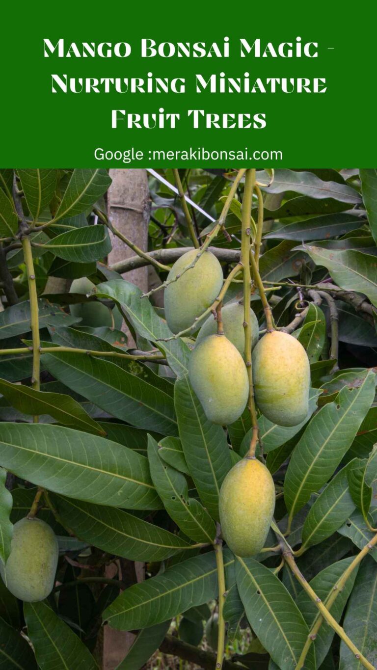 Mango Bonsai Magic Nurturing Miniature Fruit Trees